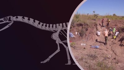 ICAT Playdate — The modern skeleton: Translating natural history into interactive and immersive experiences
