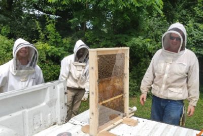 Evaluating the feasibility of using sound to track honey bee recruitment dances