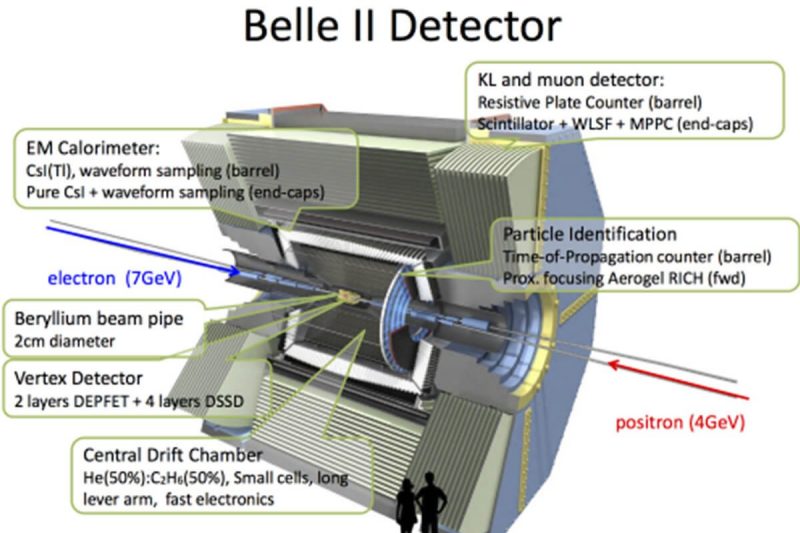 Belle II Detector