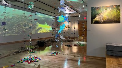 image of decorative fish hanging on mobiles against projection wall